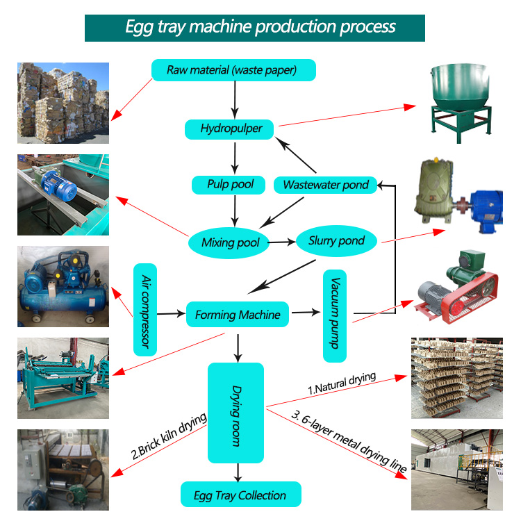 egg tray production